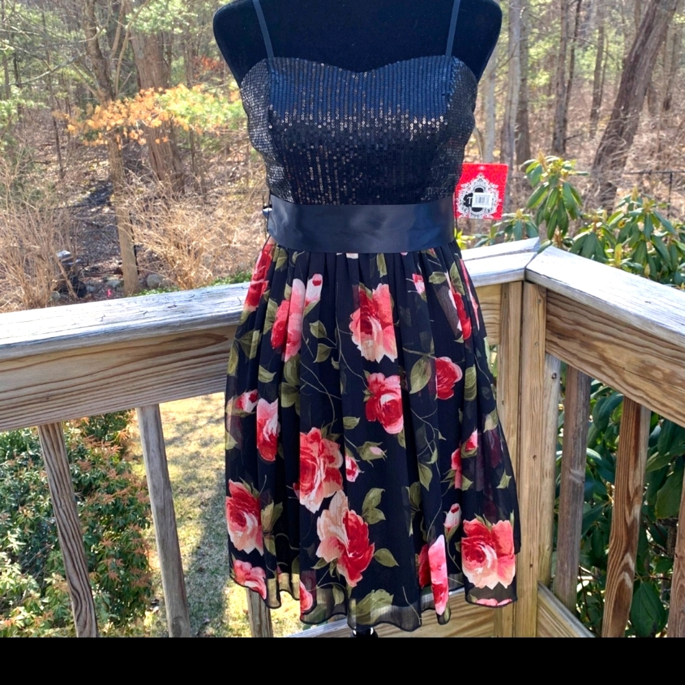 NWOT Trixxi party dress from Nordstrom